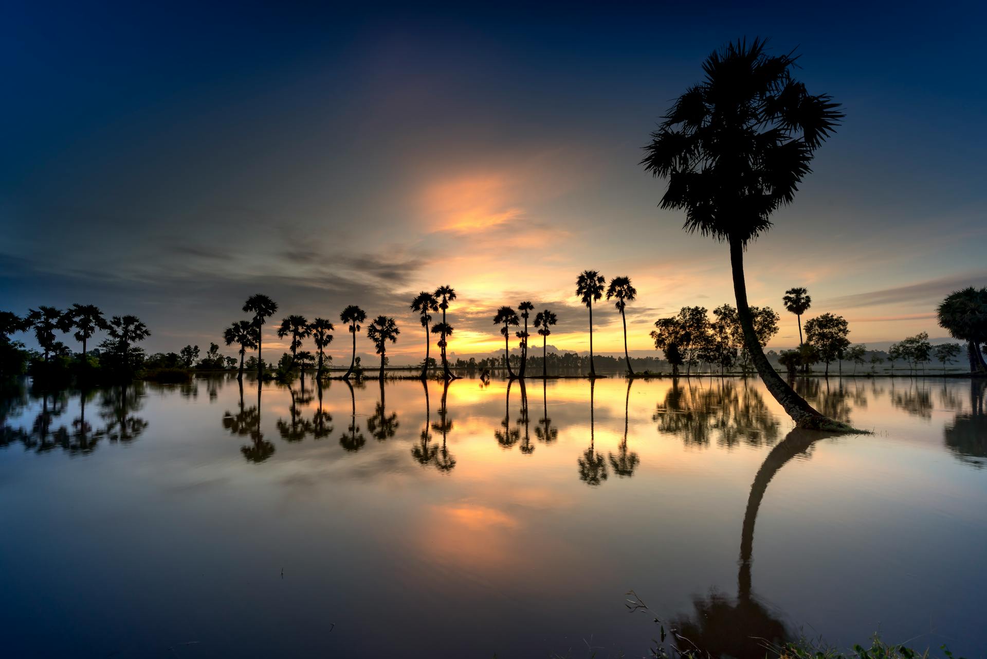 Capture the authentic charm of An Giang’s eco-tourism